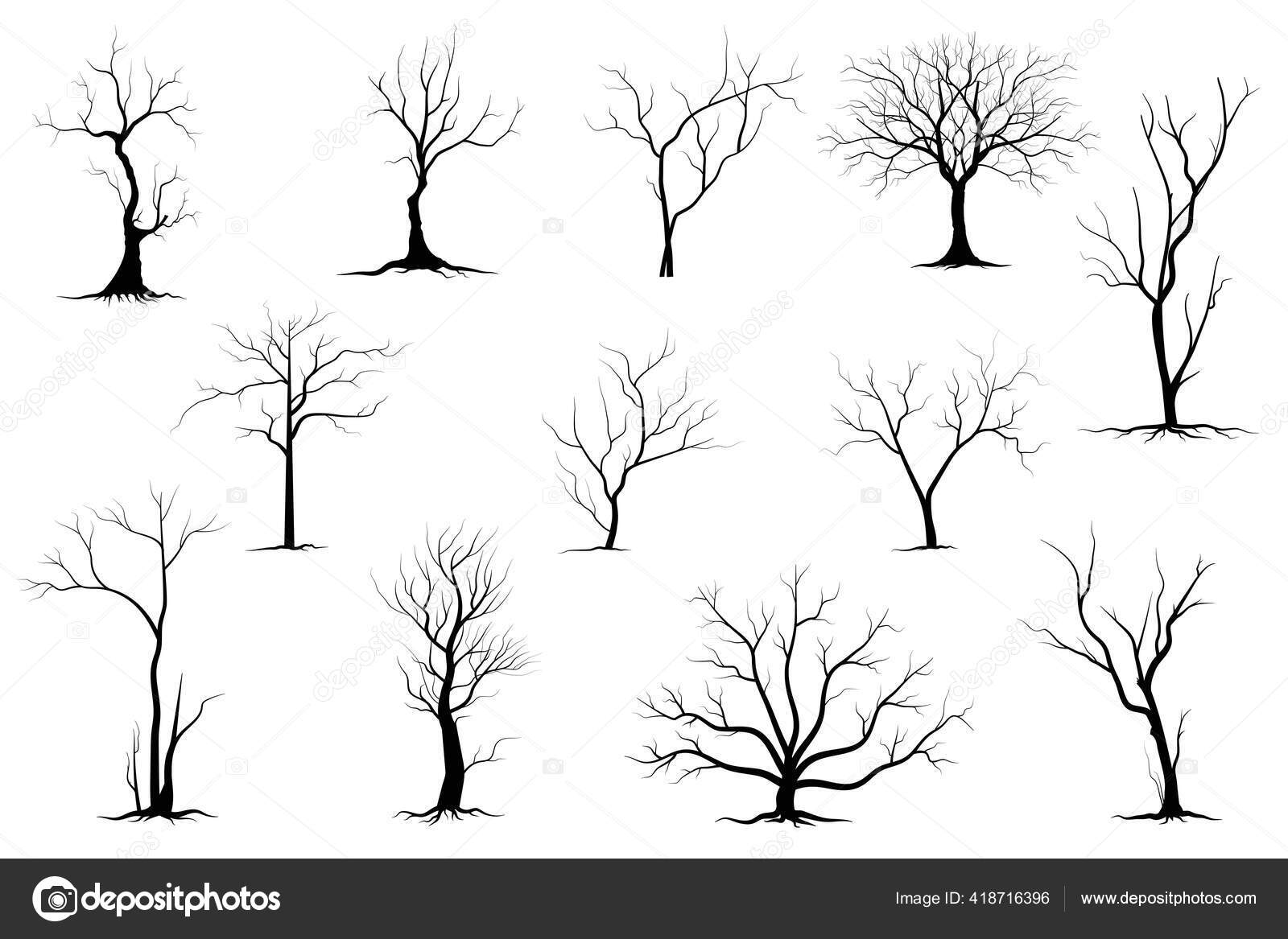 Black Branch Tree Naked Trees Silhouettes Set Hand Drawn Isolated Stock