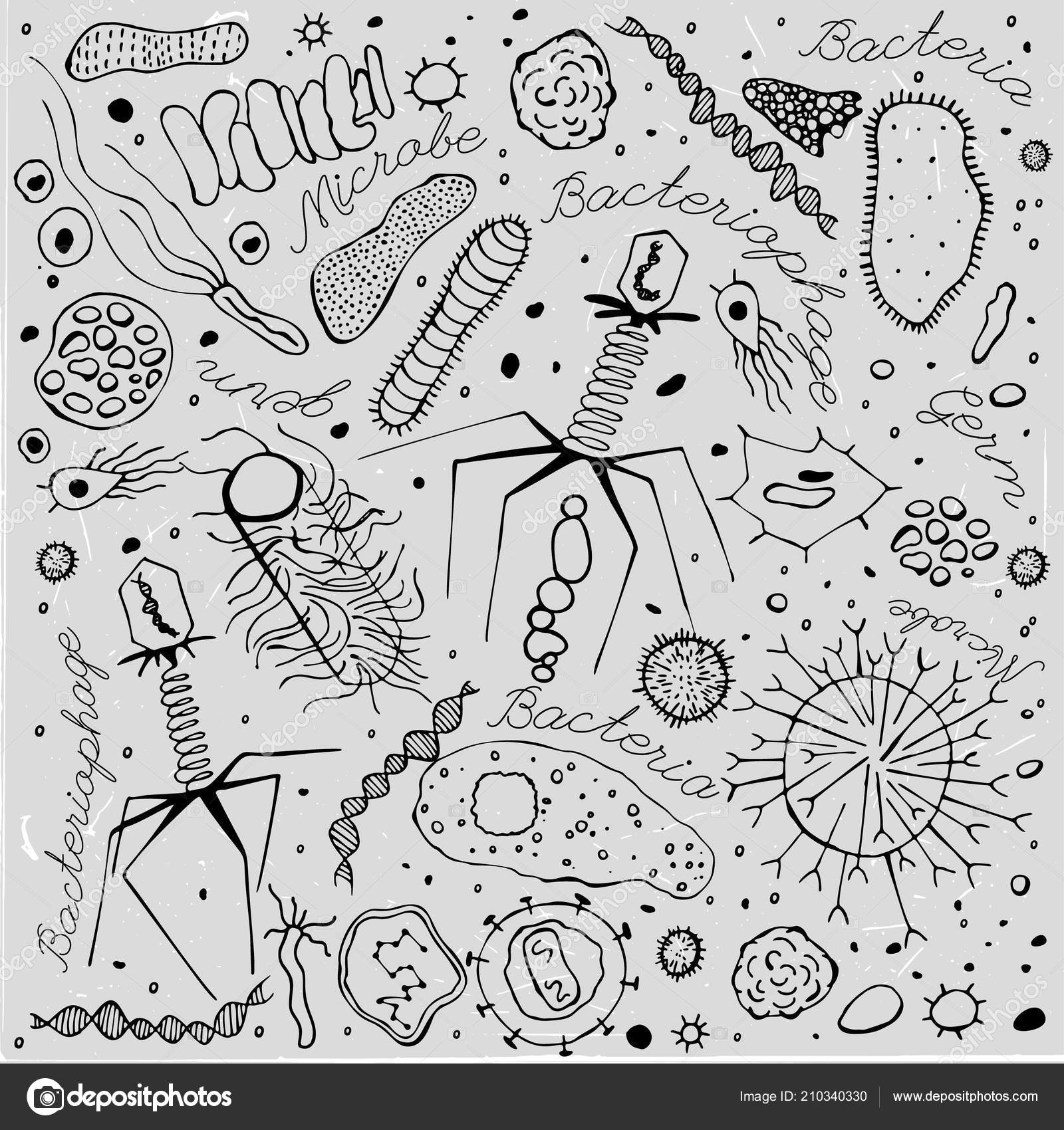 Рисунки для срисовки микробы