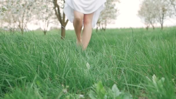 Camera follows the legs of a woman walking barefoot through some grass with leaves strewn about in slow motion — Stock Video