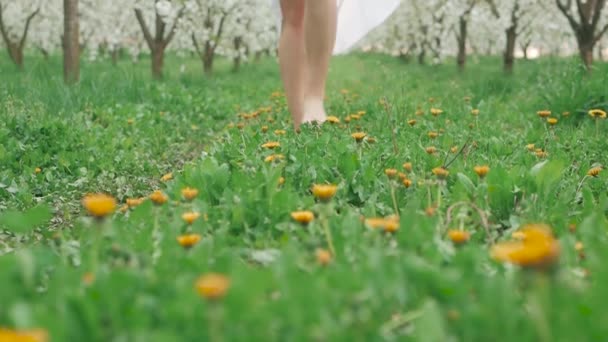 Camera follows the legs of a woman walking barefoot through some grass with leaves strewn about in slow motion — Stock Video