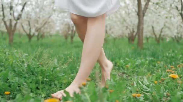 Camera follows the legs of a woman walking barefoot through some grass with leaves strewn about in slow motion — Stock Video