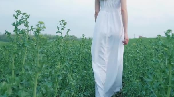 Lente mode portret van een mooie gelukkig jonge vrouw in witte jurk met lang bruin haar lopen de groene weide in de avond — Stockvideo