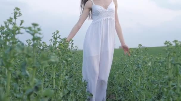 Весенний модный портрет красивой счастливой молодой женщины в белом платье с длинными каштановыми волосами ходить по зеленому полю вечером — стоковое видео