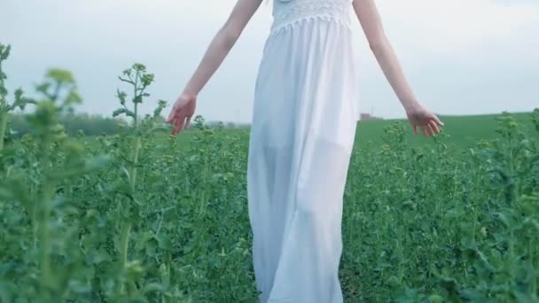 Frühling Mode Porträt einer schönen glücklichen jungen Frau in weißem Kleid mit langen braunen Haaren gehen das grüne Feld am Abend — Stockvideo