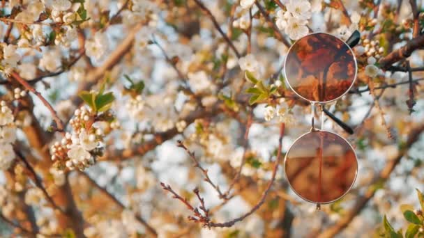 Il concetto di primavera o estate. Gli occhiali da sole sul ramo e la mano delle donne li prende — Video Stock