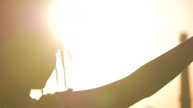 Erkek dans. siluet mutlu karışık ırk kadın uzun dreadlocks ile performans şortla günbatımı arka plan üzerinde dans.