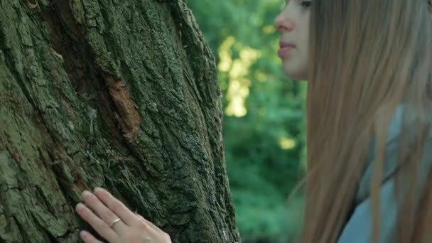 La niña escucha un árbol, inclina su oído contra él. humano y la naturaleza. protección del medio ambiente — Vídeos de Stock