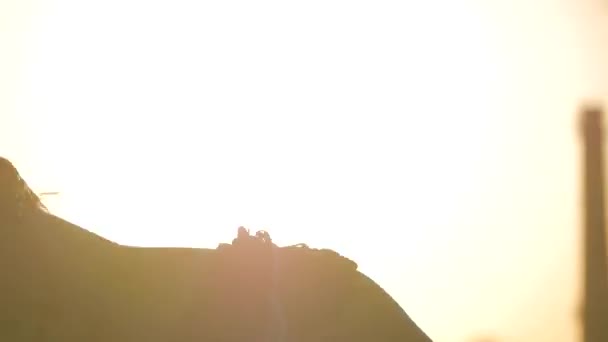 Donna danzante. silhouette felice corsa mista donna danza prestazioni con lunghi dreadlocks in pantaloncini su sfondo tramonto — Video Stock