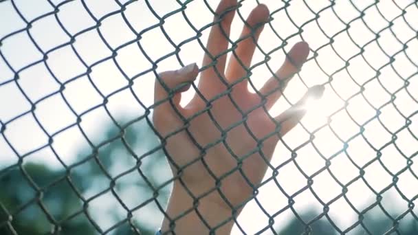 Main féminine se déplaçant le long de la surface de la grille. Bras de jeune femme touchant clôture métallique. Fille marchant pendant les vacances d'été et conduisant ses doigts le long de la garde du pont. Gros plan Mouvement lent — Video