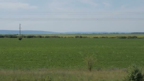 Vue depuis le train Fenêtre, champs — Video