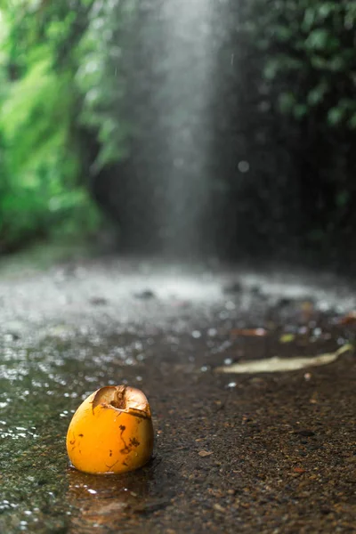 Orangenkokosnussgetränk Liegt Wasserfall Balinesischen Dschungel — Stockfoto