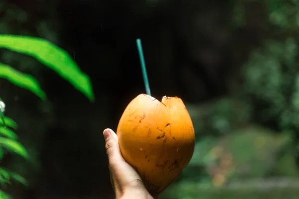 Naranja Bebida Recuento Las Manos Fondo Selva —  Fotos de Stock