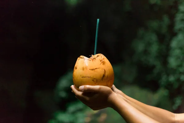 Laranja Cocount Bebida Mãos Fundo Selva — Fotografia de Stock