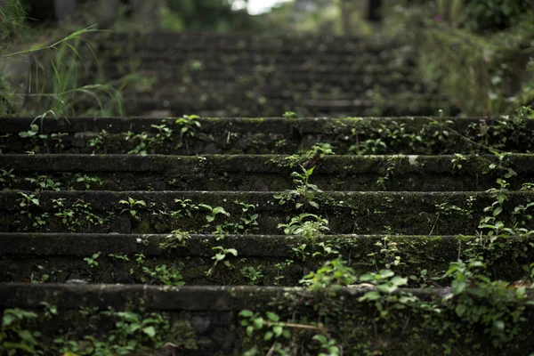 Fechar Escadas Musgo Pedra Templo Balinesse — Fotografia de Stock
