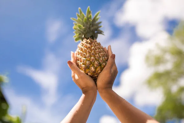 Holding a pineapple in hands on sky backgroud
