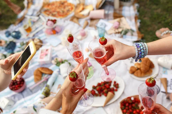 Hands Glasses Cheers Summer Day Picnic — Stock Photo, Image