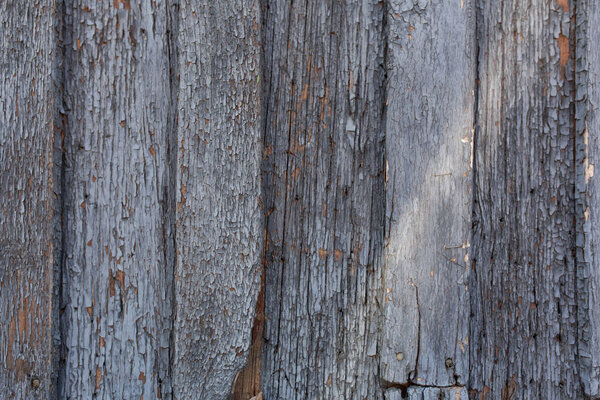 old wooden door with peeling and cracked grey paint.