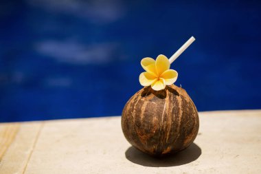 Havuz kenarında sarı çiçekli hindistan cevizi içeceği.