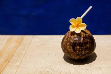 Havuz kenarında sarı çiçekli hindistan cevizi içeceği.