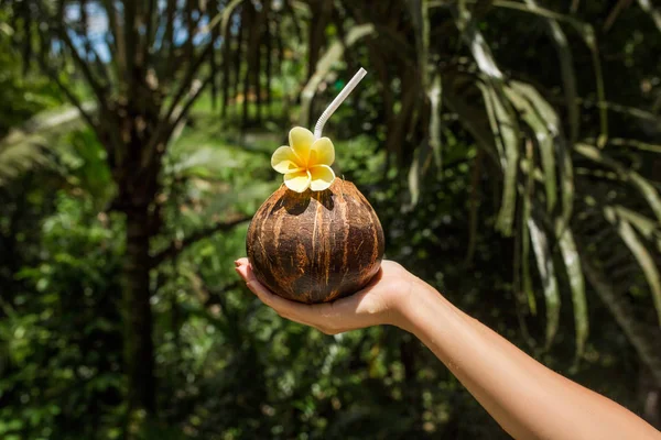 Segurando Bebida Coco Mão Fundo Selva Balinesse — Fotografia de Stock