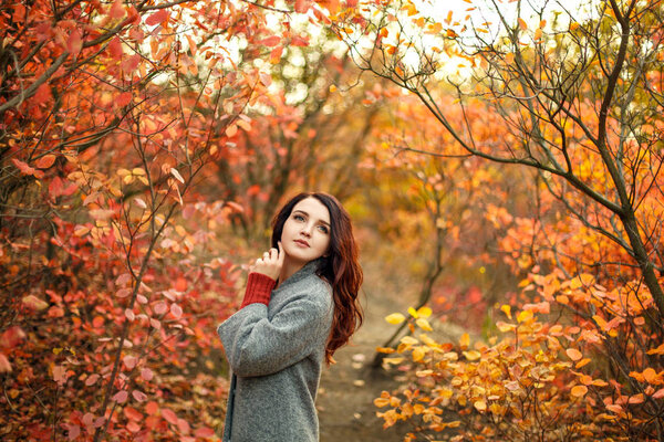 Young beautiful woman in grey coat sweather walking in autumn park with yellow and red leaves.