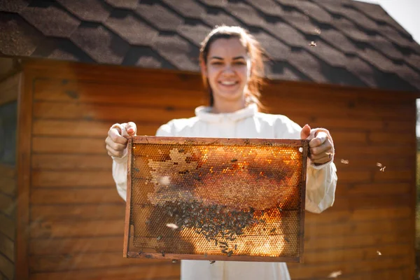 Jeune Apiculteur Femelle Tenir Cadre Bois Avec Nid Abeille Ramasse — Photo