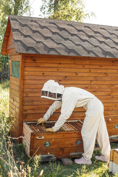 Imker Trekt Uit Bijenkorf Een Houten Frame Met Honingraat Verzamel — Stockfoto