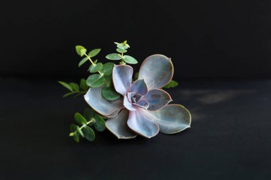 taze çiçek mini buketleri darck kumaş üzerine. Olay çiçek decoratioon. Çiçekçi iş