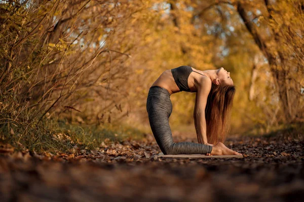 Young woman practicing yoga exercise in autumn park with yellow leaves. Sports and recreation lifestyle.