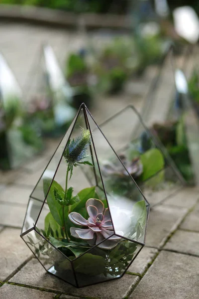 Florarium with fresh succulent flowers. Event fresh flowers decoration. Florist workflow. Wedding banquet design.