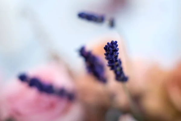 Macro purple spike fresh flower. wedding fresh flowers decoration.