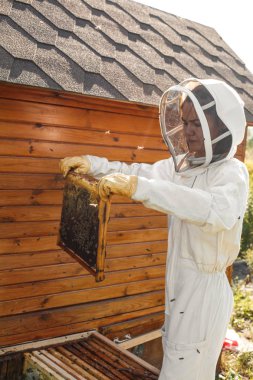 Arı yetiştiricisi kovandan bal peteğiyle ahşap bir çerçeve çıkarıyor. Bal topla. Arıcılık konsepti.