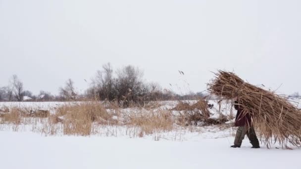 冷ややかな雪の冬の日には 村人は Haystack の中で彼の背中に 家を暖めるし 炉で焼くに雪に覆われたフィールドにわたって収集乾燥葦を運ぶ 田舎のライフ スタイル — ストック動画