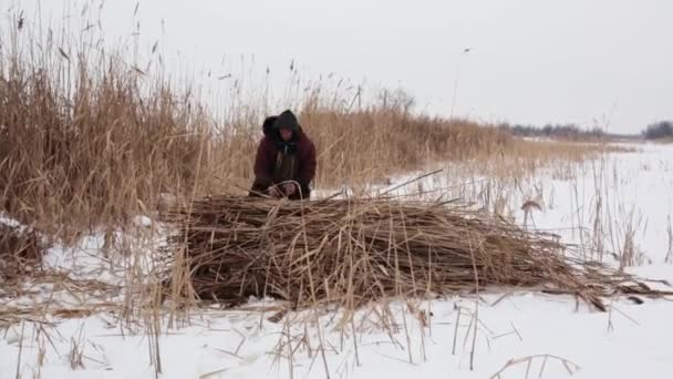 Aldeão Lago Congelado Dia Frio Inverno Reúne Juncos Secos Palheiros — Vídeo de Stock