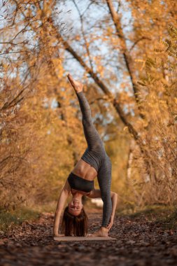 Genç kadın sarı yaprakları ile sonbahar park Yoga egzersiz pratik. Spor ve rekreasyon yaşam tarzı.