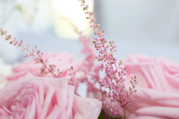 매크로 분홍색 결혼식의 — 스톡 사진