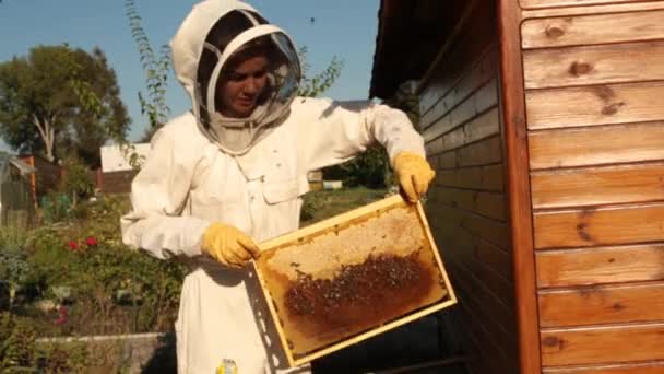 白い防護服で女の子の養蜂家は ミツバチをクロールするハニカム構造でフレームを調べます 周りを蜂が飛んでください — ストック動画