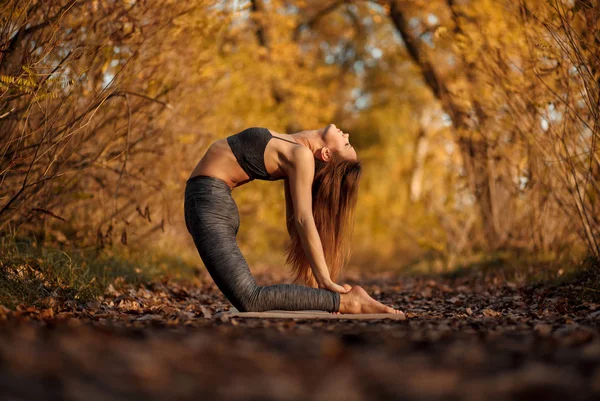 Young woman practicing yoga exercise in autumn park with yellow leaves. Sports and recreation lifestyle.