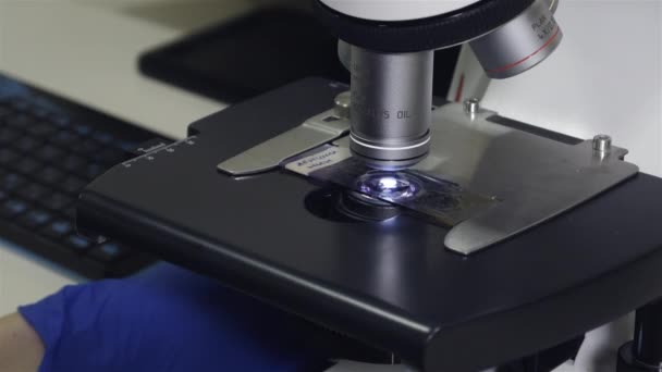 의사는 현미경으로 혈액을 분석합니다 현미경의 클로즈업 테스트 자료와 플랫폼에 현미경의 — 비디오