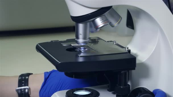 Médico Estudiantil Analiza Sangre Bajo Microscopio Primer Plano Microscopio Plataforma — Vídeo de stock