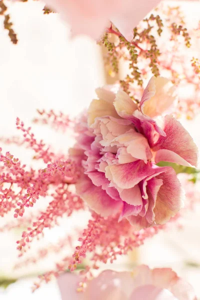 Vértes rózsaszín astilbe és a carnation virágok a fényes nap elmosódott háttér — Stock Fotó