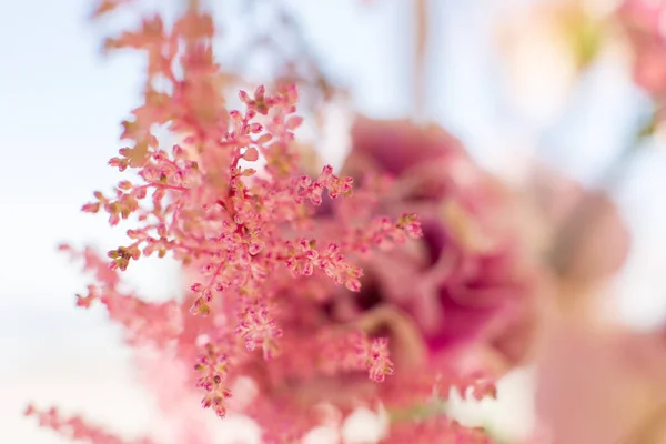 close up astilbe fresh flowers with blurred background. Event decoration with fresh flowers