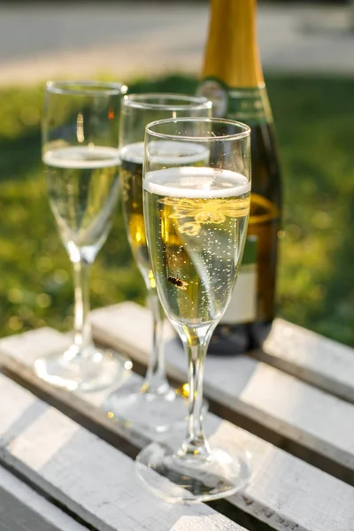 Lunettes avec champagne sur fond vert flou. Week-ends de pique-nique en plein air — Photo