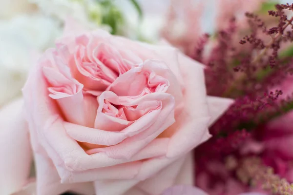 매크로 섬세 한 신선한 분홍색 장미 꽃입니다. 신선한 꽃 드 웨딩 — 스톡 사진