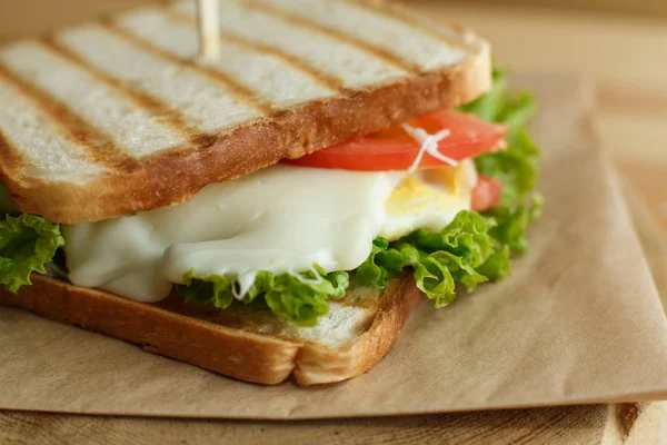 Closeup juicy sandwich with bacon, fresh vegetables, green salad and dark lines after grill — Stock Photo, Image