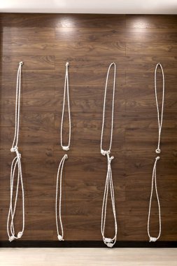 ipler germe ve beden eğitimi için. Kurunta yoga sınıfı