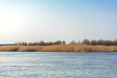 Mavi Göl altın reed ufku