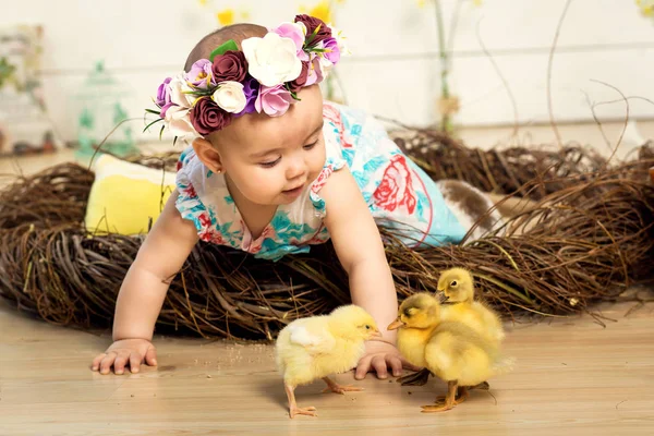 Kafasındaki çiçekli bir elbise, mutlu küçük bir kız bir yuvaya oturuyor ve sevimli kabarık Paskalya ducklings ve beyaz bir Paskalya tavşanı onun yanında yürüyor — Stok fotoğraf