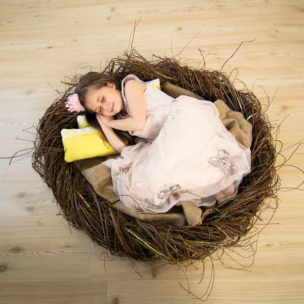 Sevimli küçük kız pembe elbise ve pembe bir taç büyük bir yuvada uyuyor ve muhteşem rüyalar görür — Stok fotoğraf