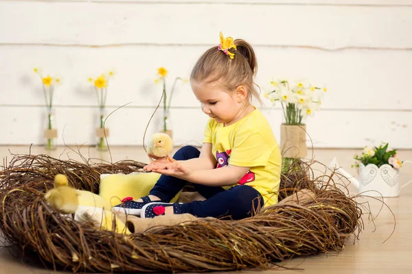 Mutlu küçük kız bir yuvaya oturur ve sevimli kabarık Paskalya ducklings ellerinde tutan — Stok fotoğraf